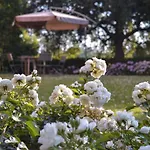Charming In Mannelli *